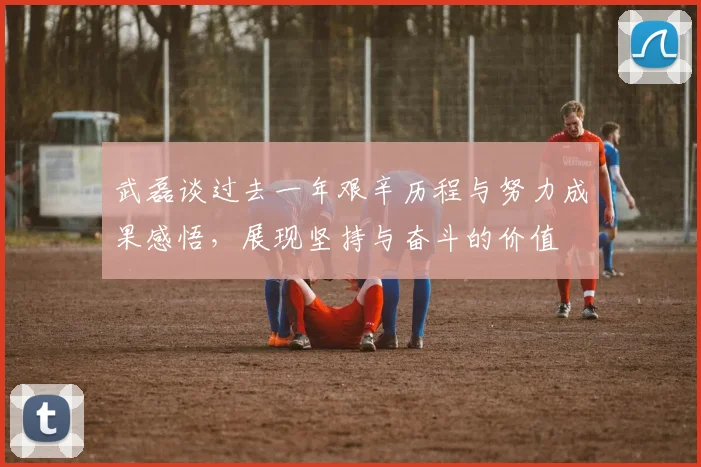 武磊谈过去一年艰辛历程与努力成果感悟，展现坚持与奋斗的价值
