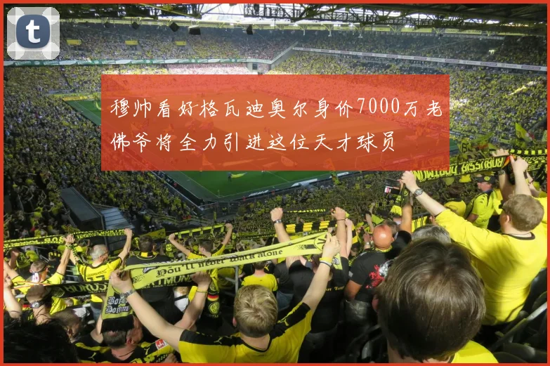 穆帅看好格瓦迪奥尔身价7000万老佛爷将全力引进这位天才球员